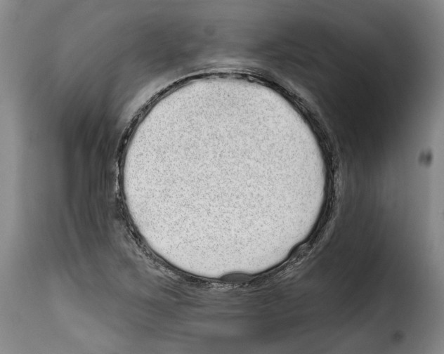 X0000114201267200911200951