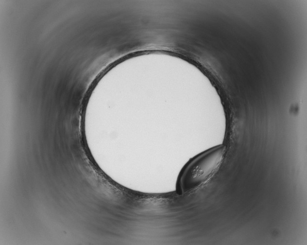 X0000114201268200911200951