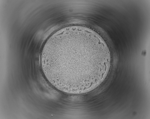 X0000114201274200911200951