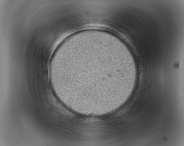 X0000114201275200911200951