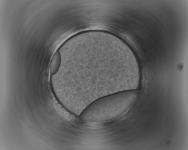 X0000114201276200911200951