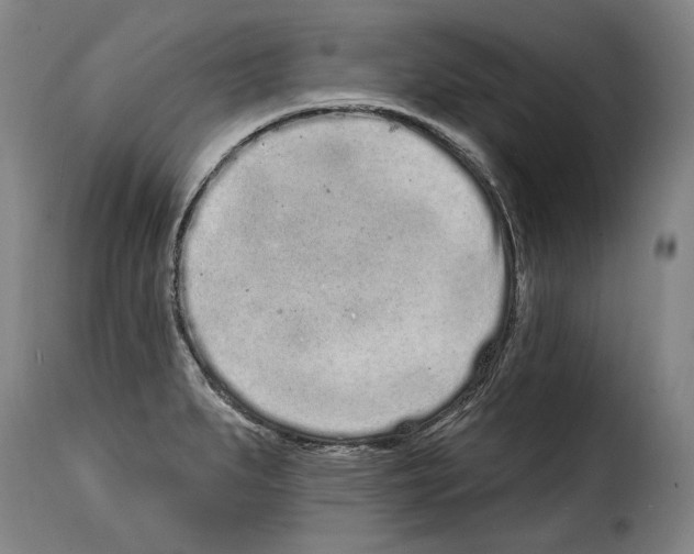 X0000114201279200911200951