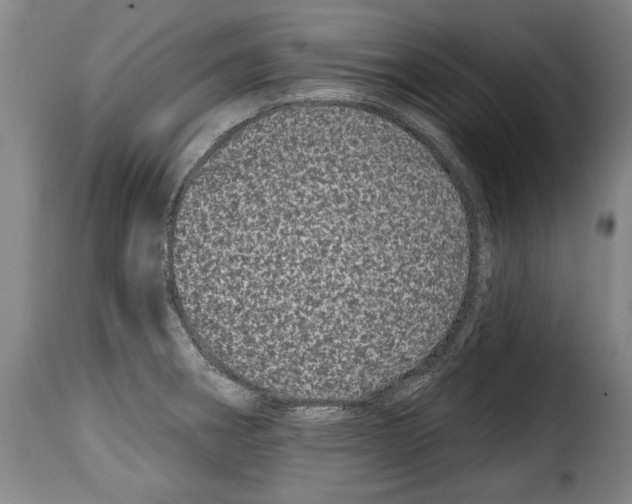 X0000114201282200911200951