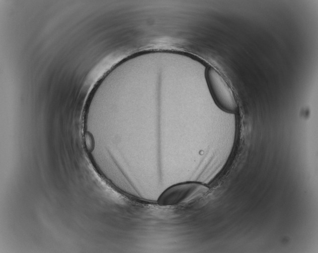 X0000114201285200911200951