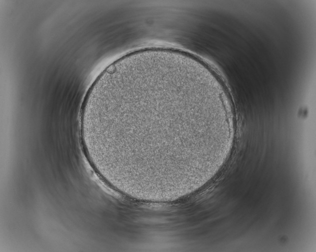 X0000114201287200911200951