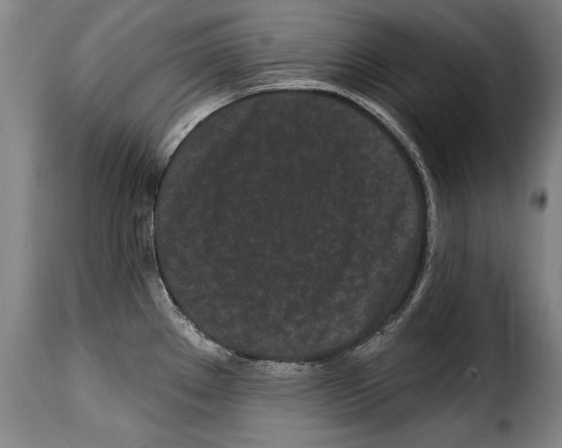 X0000114201289200911200951