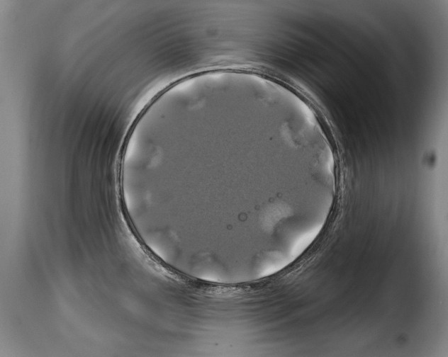 X0000114201291200911200951