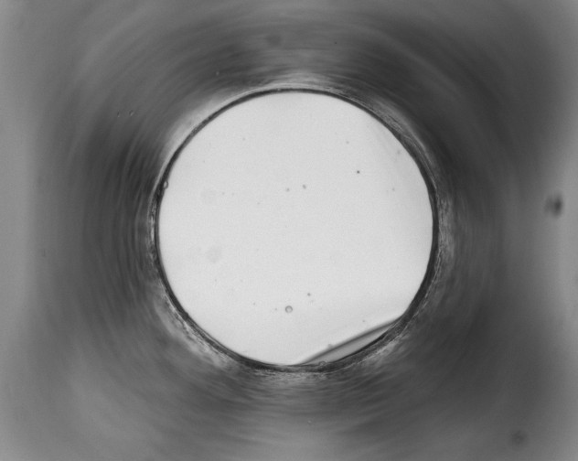 X0000114201292200911200951