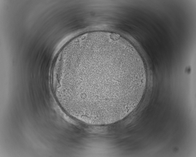 X0000114201294200911200951