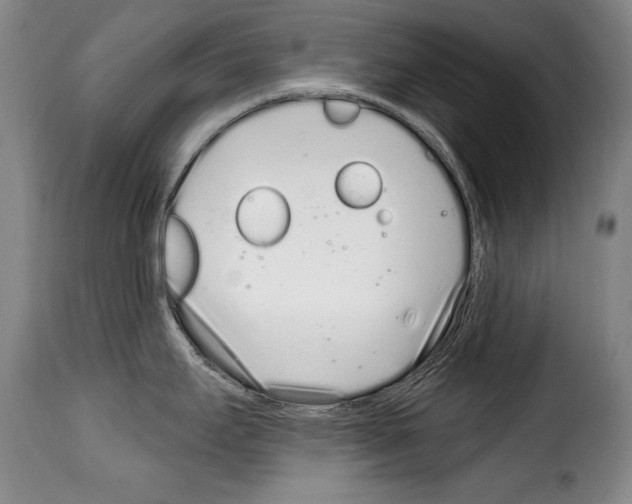 X0000114201295200911200951