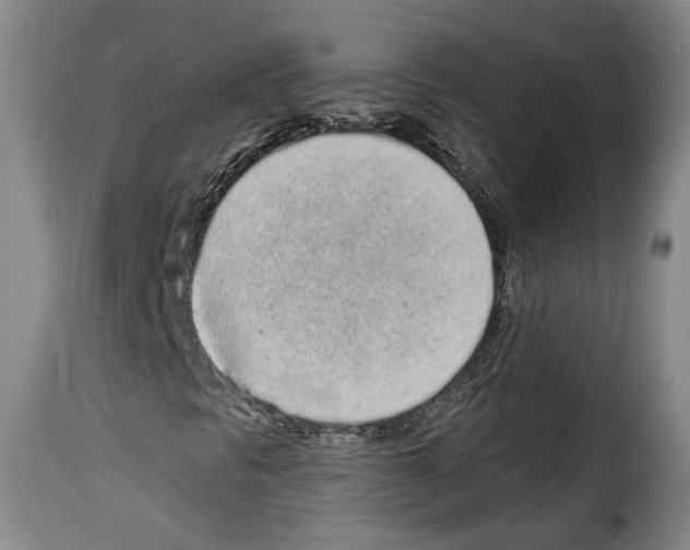 X0000114201297200911200950