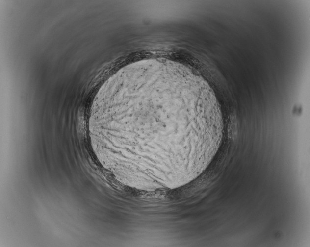 X0000114201298200911200950