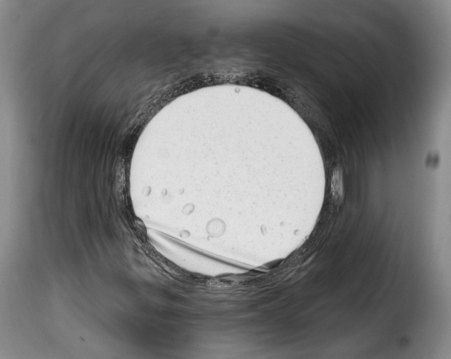 X0000114201299200911200950