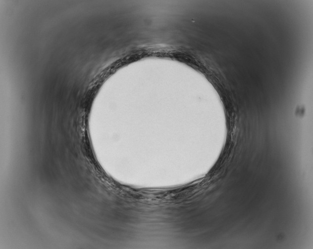 X0000114201301200911200950