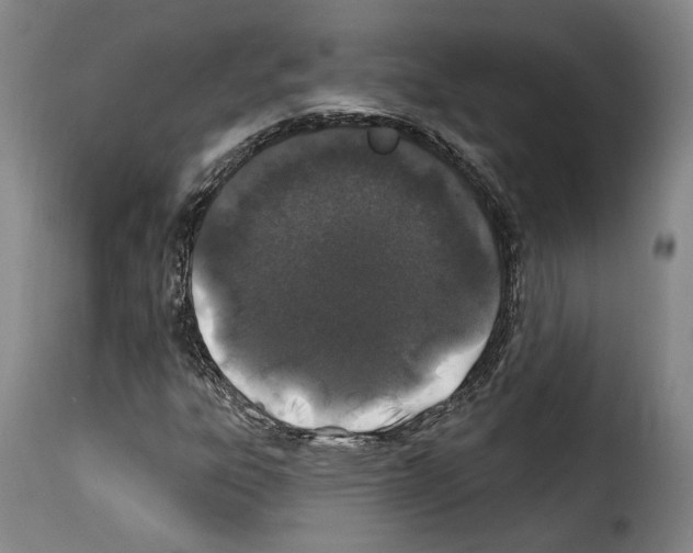 X0000114201303200911200950