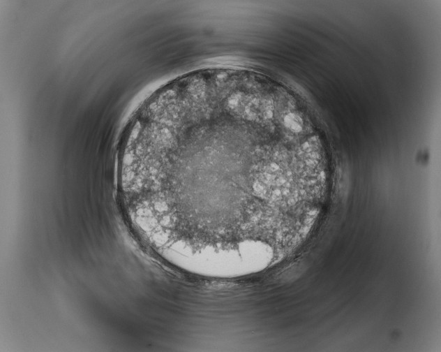 X0000114201323200911200950