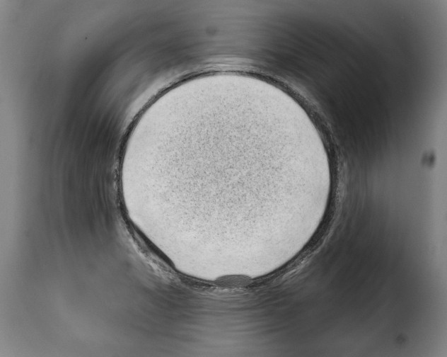 X0000114201325200911200950