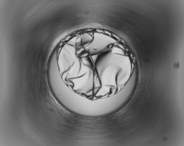 X0000114201326200911200950