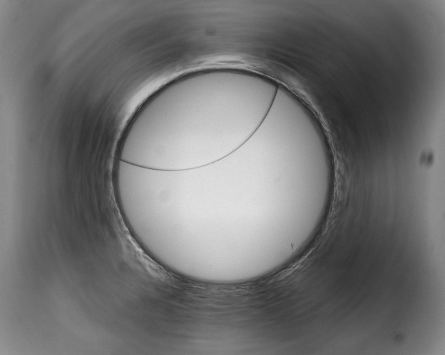 X0000114201328200911200950