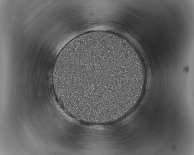 X0000114201329200911200950