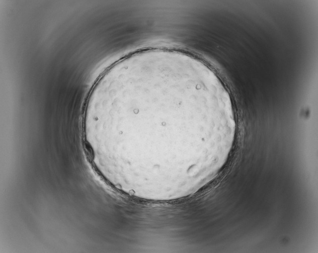 X0000114201335200911200951