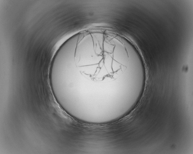 X0000114201336200911200951