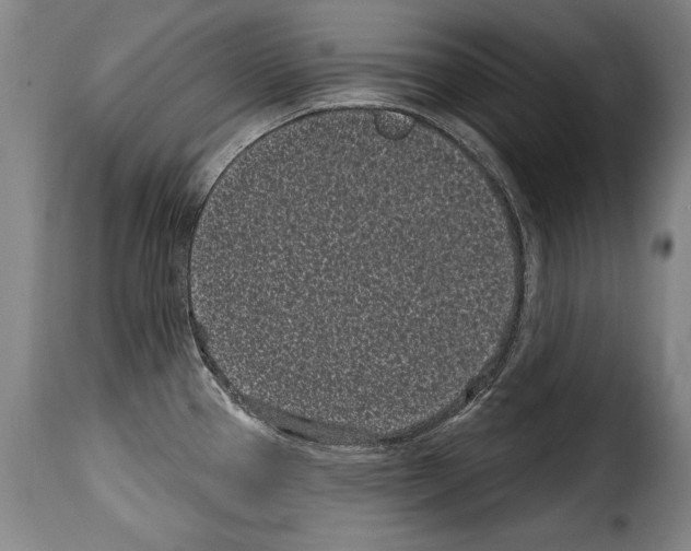 X0000114201337200911200951