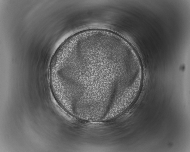 X0000114201342200911200951