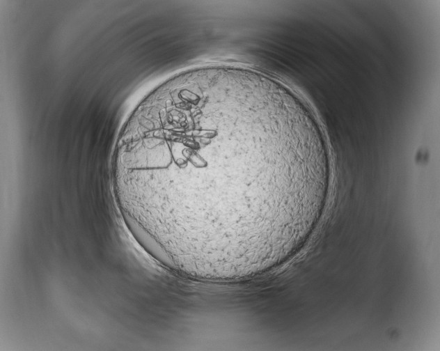 X0000114201344200911200951