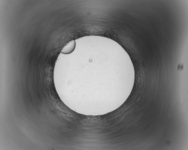 X0000114201346200911200950