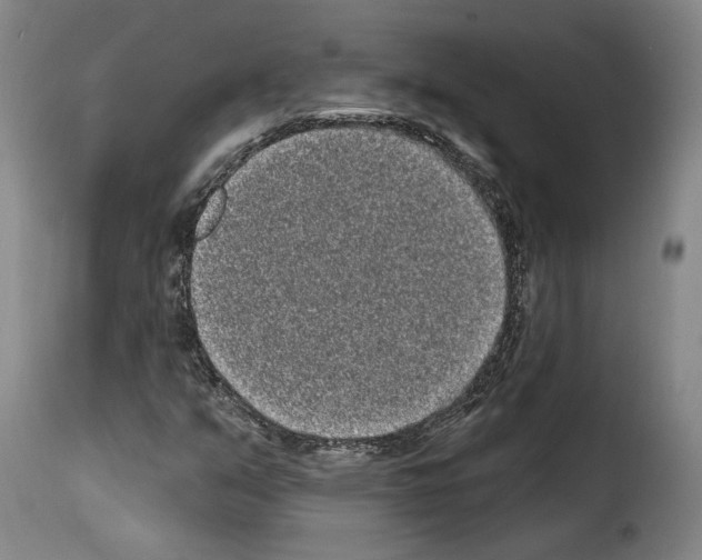 X0000114201351200911200950