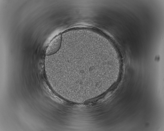 X0000114201355200911200950