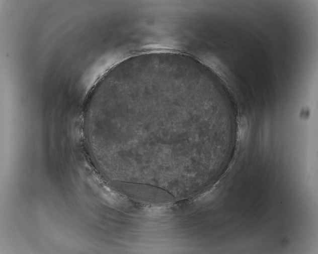 X0000114201357200911200950