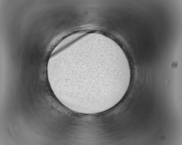 X0000114201358200911200950