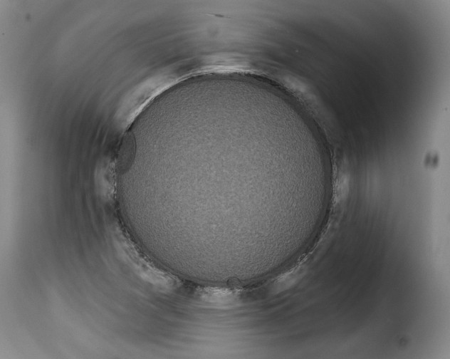 X0000114201361200911200950