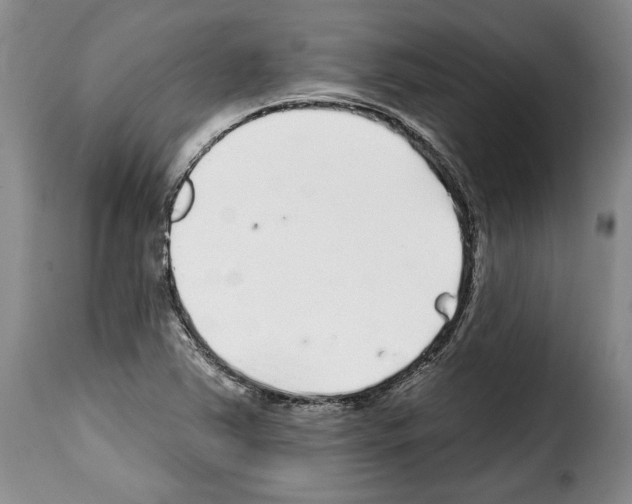 X0000114201363200911200950