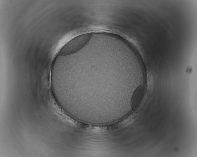 X0000114201365200911200950