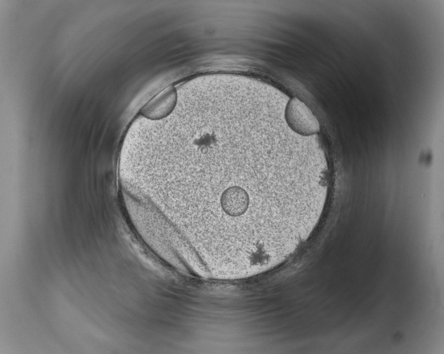 X0000114201370200911200950