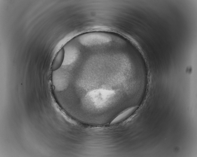 X0000114201373200911200949