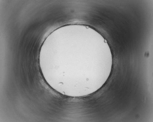 X0000114201374200911200949