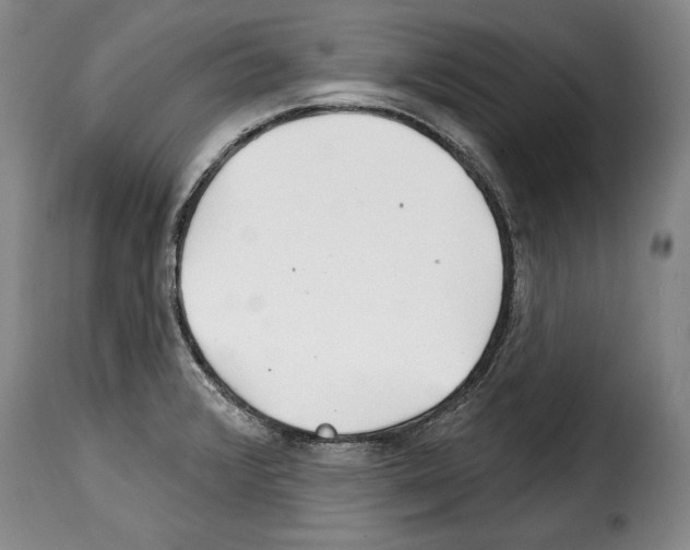 X0000114201376200911200949