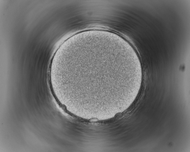 X0000114201379200911200949