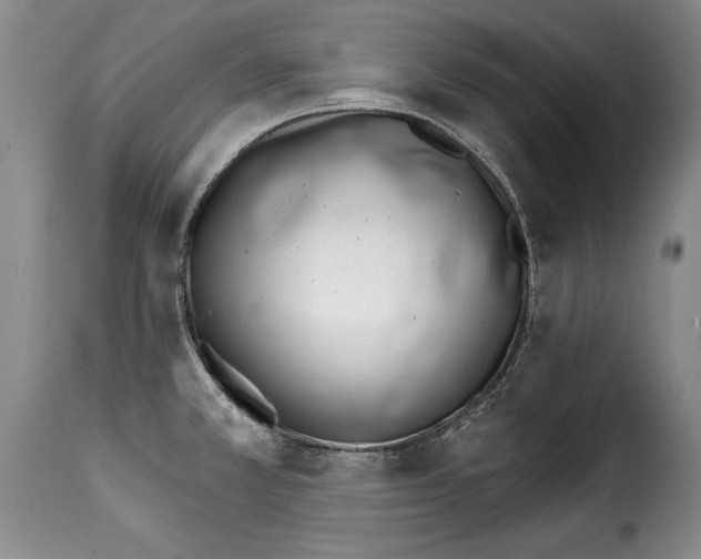 X0000114201381200911200949