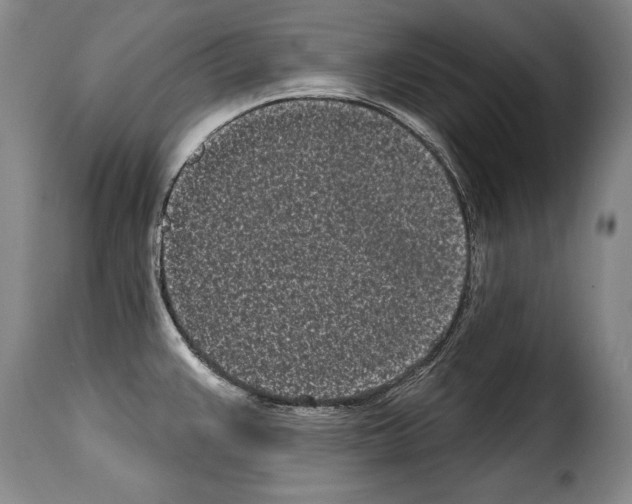 X0000114201383200911200949