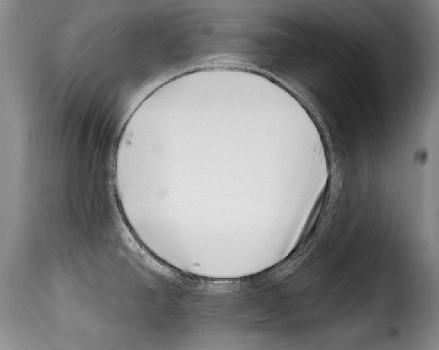 X0000114201390200911200949