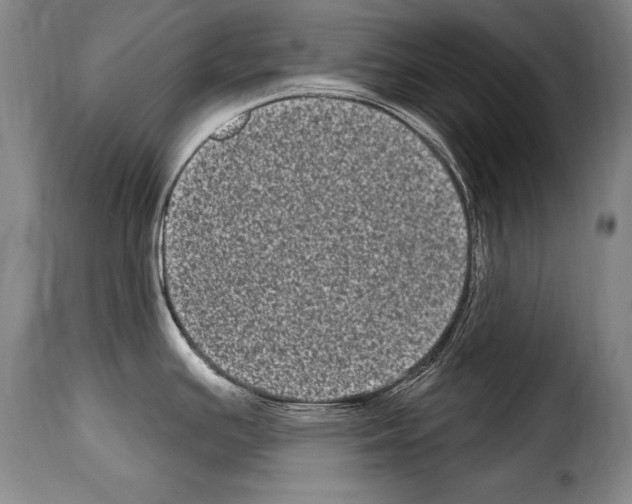 X0000114201391200911200949