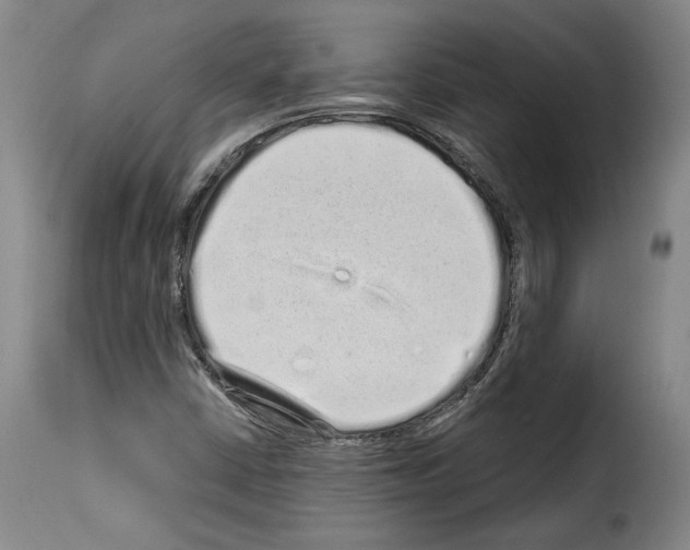 X0000114201402200911200949