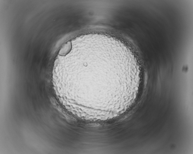 X0000114201405200911200949