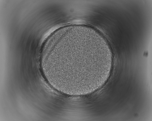 X0000114201410200911200949