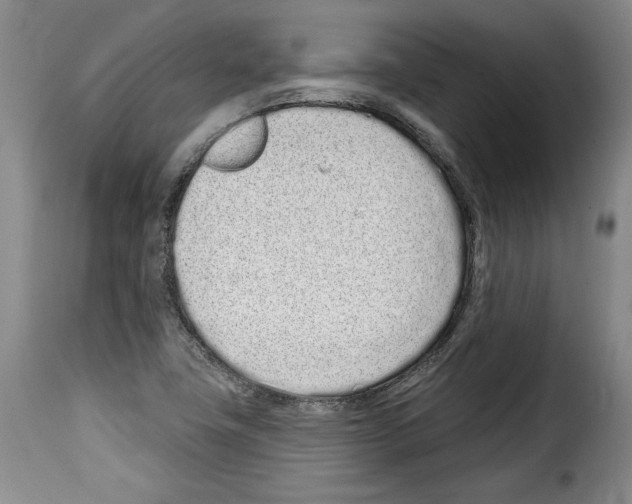 X0000114201411200911200949